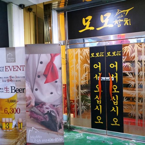 모모참치